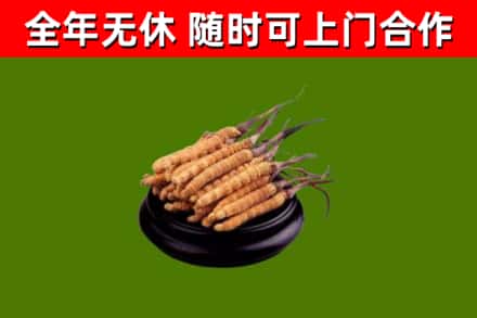 云县烟酒回收冬虫夏草.jpg